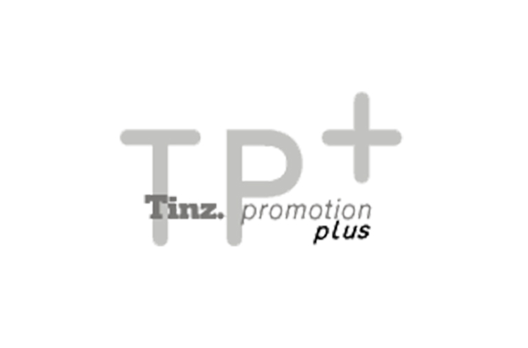 Tinz Promotion Plus